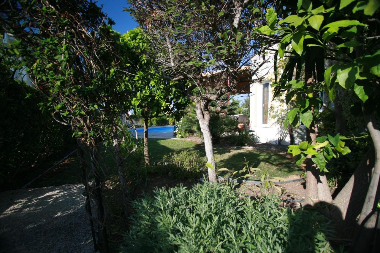 Beach Villa Sofia Neo Chorio Bagian luar foto
